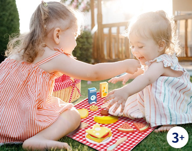 Canasta de Picnic