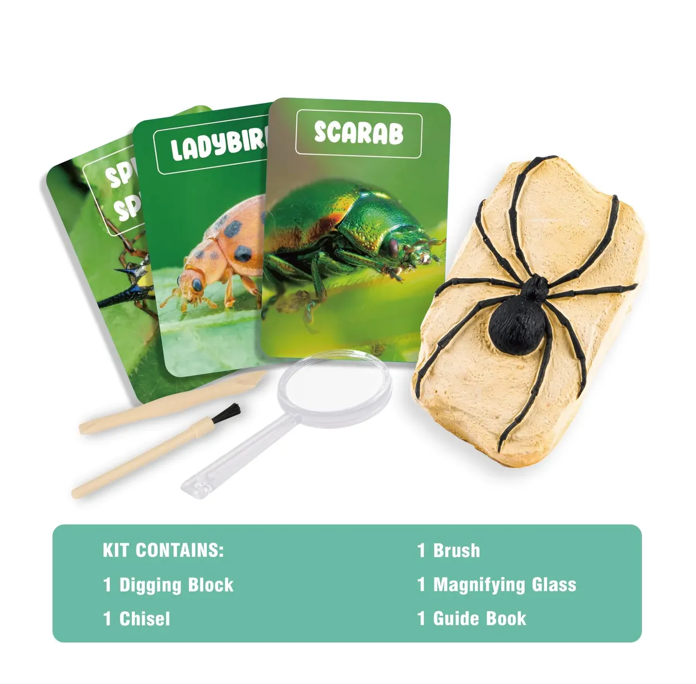Kit De Excavación Insectos