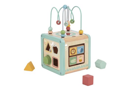 Cubo de actividades