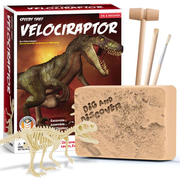 Kit de excavacion velociraptor
