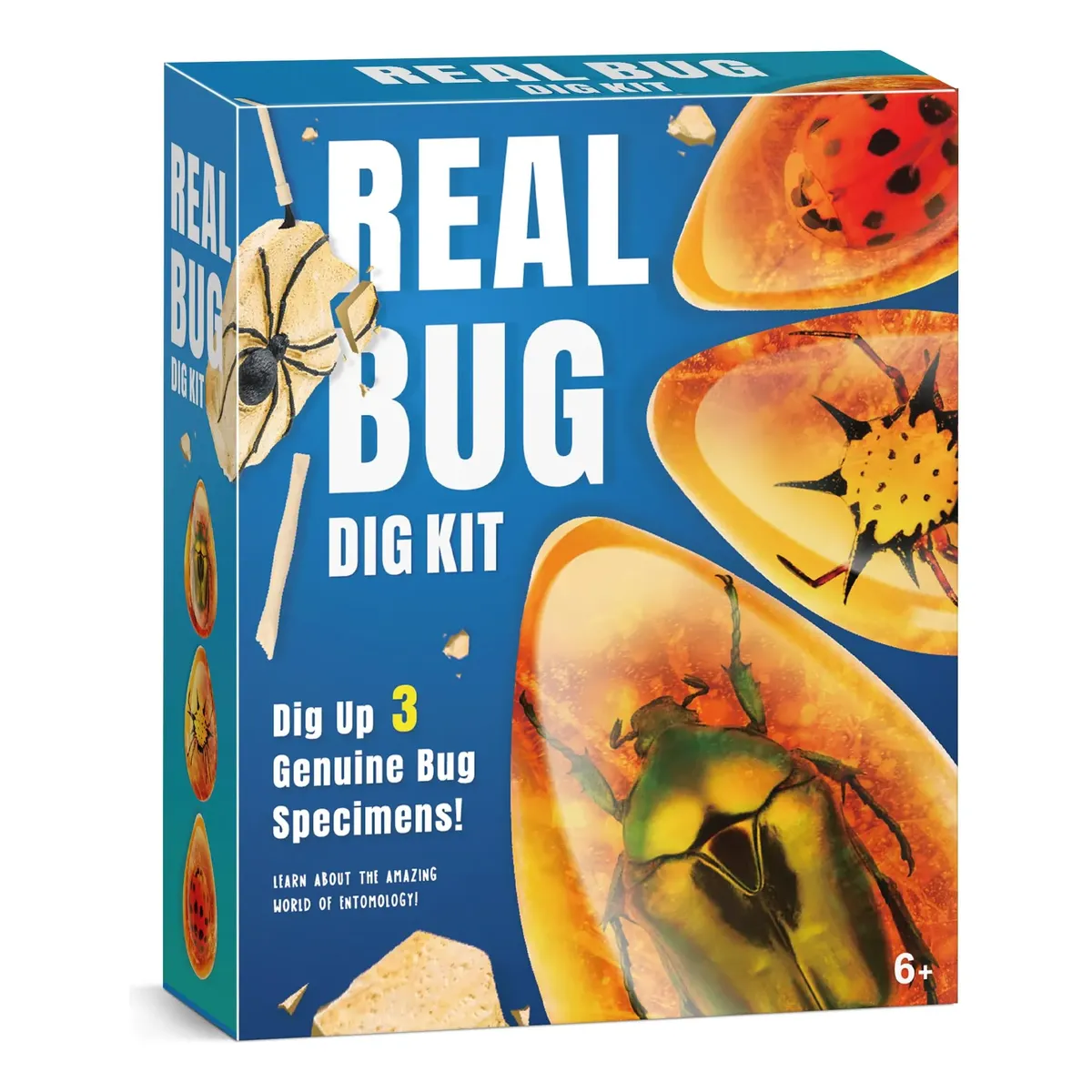 Kit De Excavación Insectos