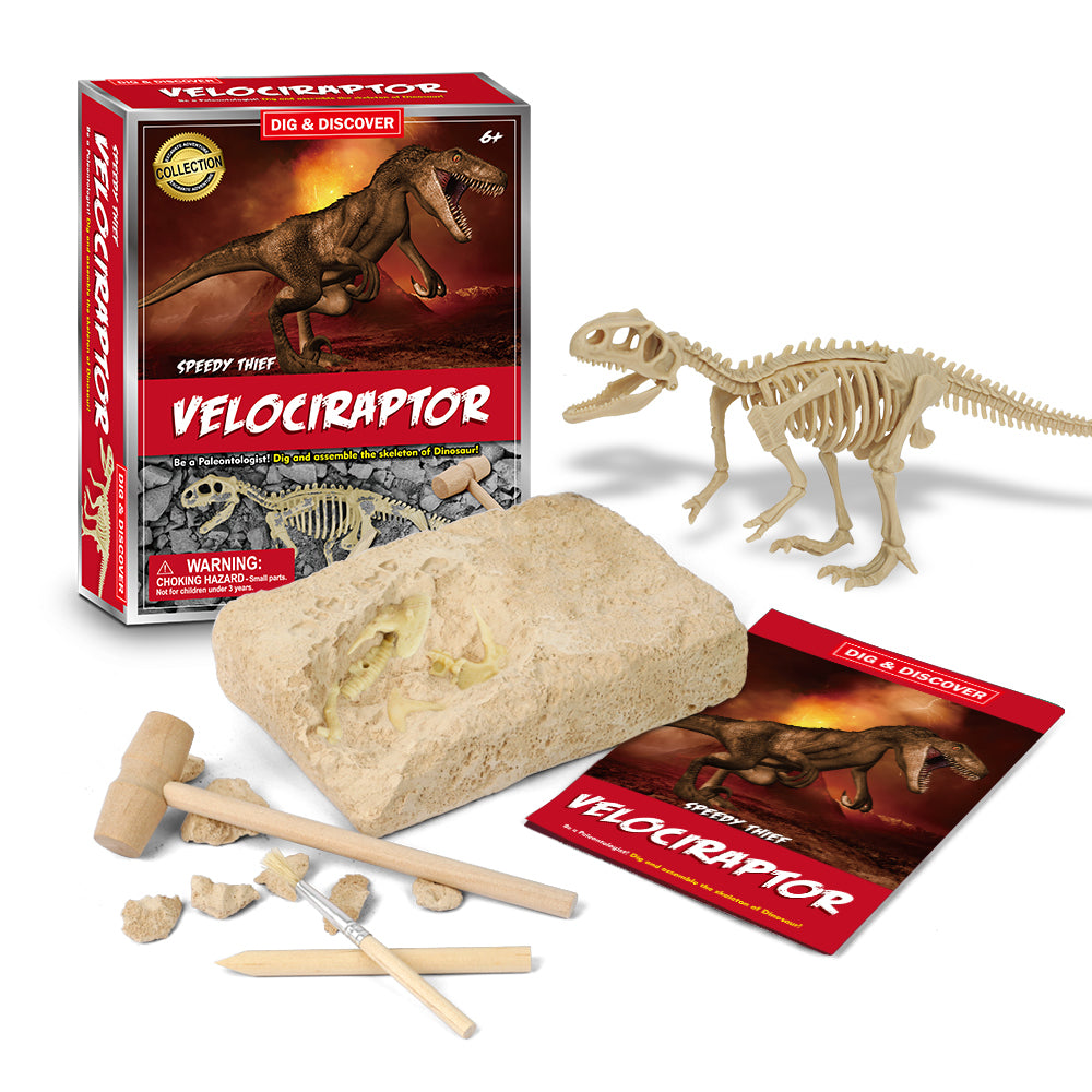 Kit de excavacion velociraptor